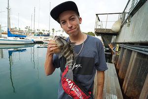 Meet your Posher, Maverick